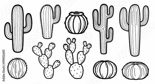 Hand drawn black and white cactus collection set.