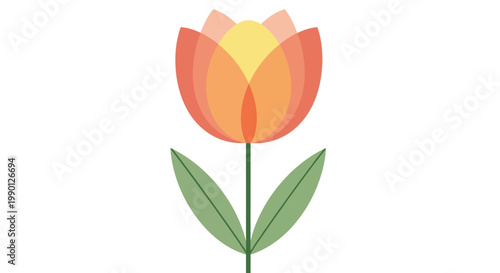 Vibrant orange tulip flower illustration.