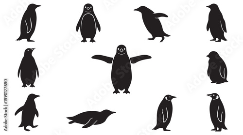 collection of penguins in various poses vector illustration