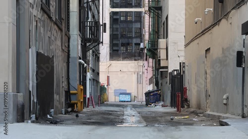 Dirty Downtown Alley With Pigeons.