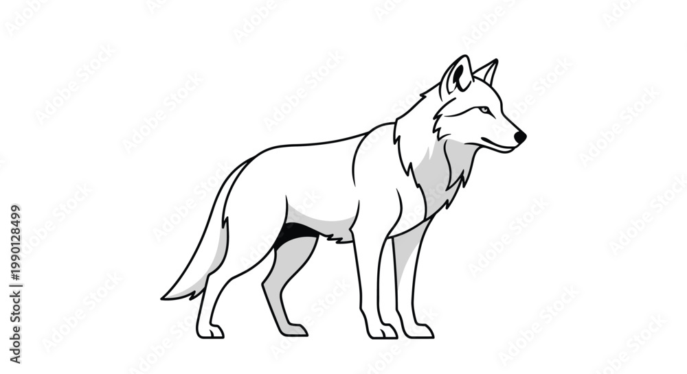 Fototapeta premium Simple black and white line drawing of a majestic wolf standing in profile against a plain white background for coloring.