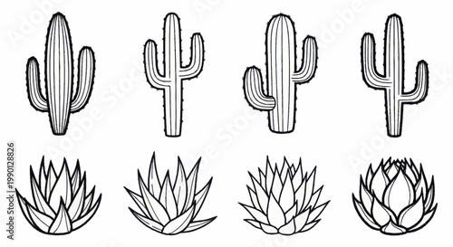 Set of Hand Drawn Desert Plants Including Cacti and Agave.