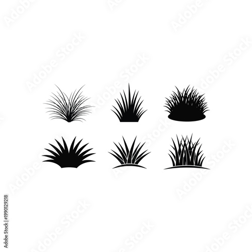 Six different grass silhouettes arranged in two rows on white