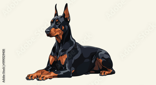 Realistic illustration of a noble doberman pinscher dog lying down on a light background representing guard animals.
