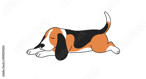 Illustration of a cute beagle puppy with tri-color fur sleeping peacefully while lying down on its stomach on a white background.