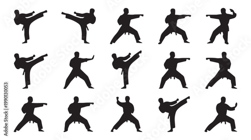Martial arts poses vector illustration, karate silhouettes flat design