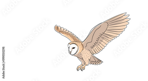 Barn owl in mid-flight with its wings fully spread and talons ready to land depicted in a soft colored illustration.