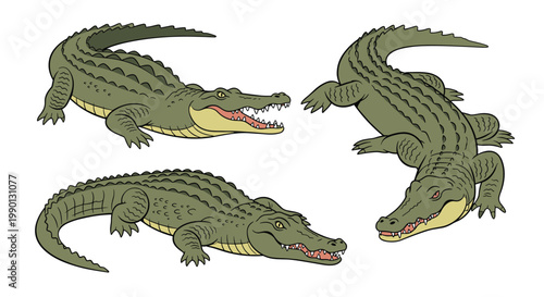 Three large green crocodiles in different crawling and resting poses with their mouths open, suitable for reptile and wildlife educational content.