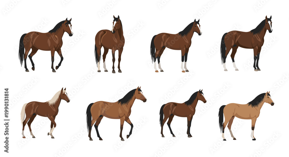 Obraz premium Detailed set of eight brown horses in diverse poses including standing and walking shown against a minimalist white backdrop.