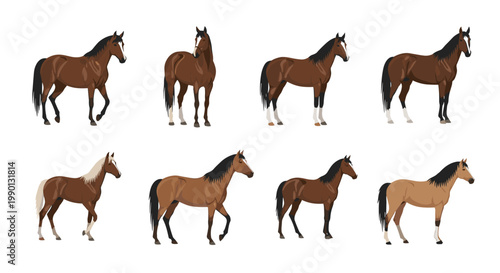Detailed set of eight brown horses in diverse poses including standing and walking shown against a minimalist white backdrop.