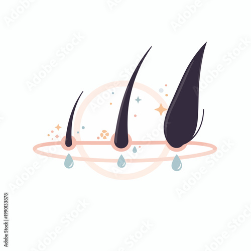 Hair follicle stages with water drops and sparkling elements