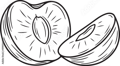 Half Plum and Slice with Seed Line Art Illustration