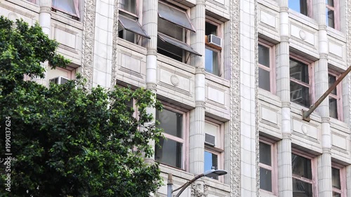Old Classic Office Building Beyond Green Tree