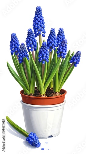A vibrant potted plant with blue flowers and green leaves