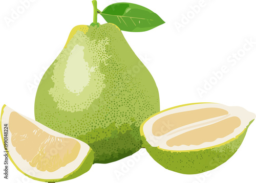 Pear fruit illustration representing clean eating and responsible dietary awareness
