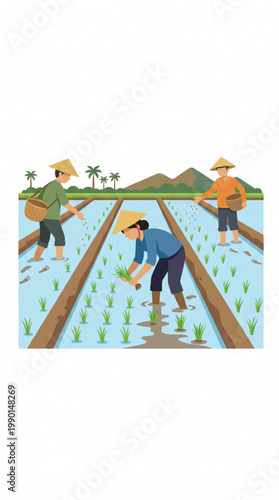 Asian farmers planting rice in a traditional paddy field with mountains landscape
