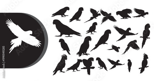 A collection of black and white bird silhouettes on a clean white background