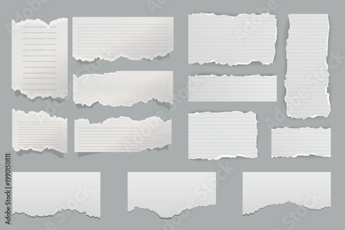 Torn Notebook Paper Pieces and Ripped Lined Paper Collection Isolated on Gray Background