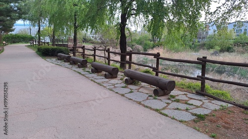 urban park pathway with wooden benches and riverside trees