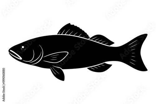 Barramundi silhouette vector, fish icon vector illustration, Barramundi Fish  black symbol
