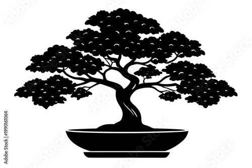 bonsai tree vector,  bonsai tree silhouette vector, bonsai icon black symbol
