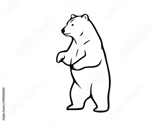 A standing polar bear illustration in a simple line drawing style