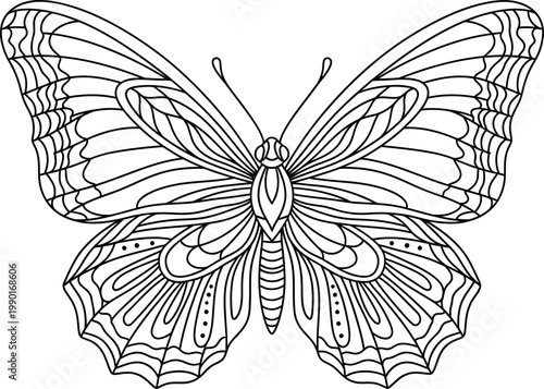 Detailed Symmetrical Butterfly With Decorative Wing Patterns.