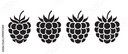Raspberry Fruits Icons Set. on White Background for Food Design and Organic Branding.