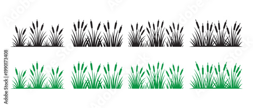 Set of Stylized Reed and Cattail Silhouettes Isolated on White Background for Nature Design Projects.