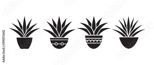 Set of Succulent Plants in Decorative Ceramic Pots Vector Icon Illustration.