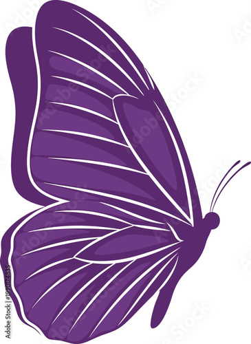 Purple Butterfly Side View Illustration.