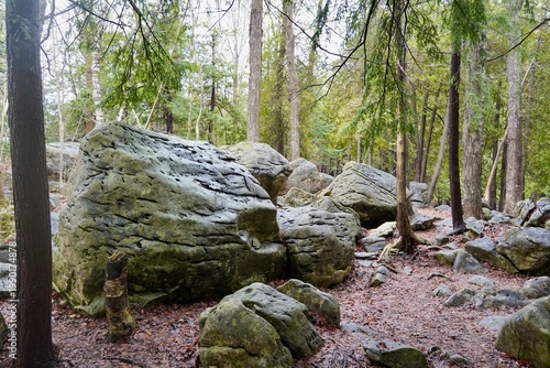 The Bruce Trail on the Niagara Escarpment near Owen Sound Ontario