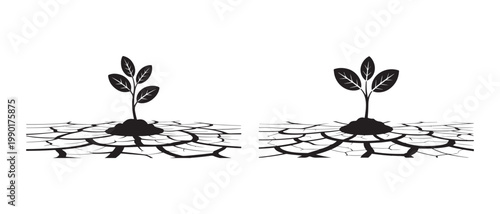 Saplings Growing From Dry Cracked Ground, Symbol of Hope and Resilience.
