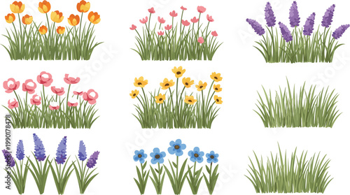Colorful spring flower and grass vector collection featuring blooming plants garden florals isolated for nature themed design and decoration projects