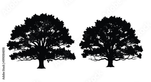 Two detailed black silhouettes of full mature oak trees