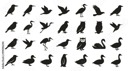 A Collection of Diverse Bird Silhouettes in Various Poses and Species