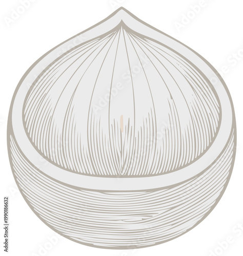 Vintage styled illustration of a single garlic bulb with detailed line art