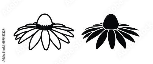 Echinacea flower vector icons, black and white coneflower line art and silhouette set, botanical herbal medicine plant illustrations