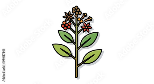 Hand-drawn illustration of spice plant featuring star anise cloves and leaves against a clean white backdrop for culinary and design use