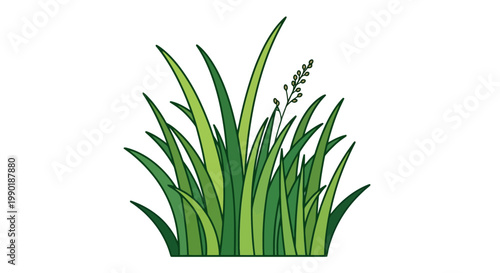 Bild auf Leinwand Illustrated tuft of green grass with a small flowering sprig in a garden isolate