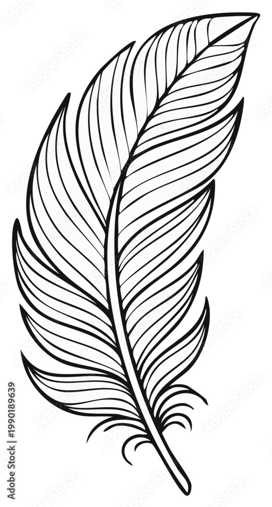 Obraz premium Delicate Bird Feather in Detailed Outline Illustration for Art or Design Projects Featuring Natural Element