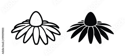 Minimalist echinacea flower vector icons, black and white coneflower botanical line art, simple floral silhouette set for herbal medicine branding