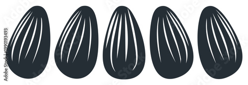 Group of dark sunflower seeds with textured stripes isolated on a white background