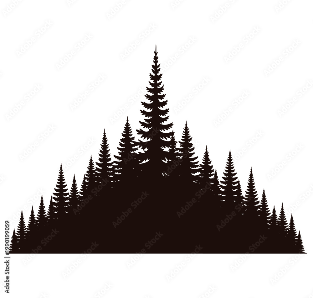 Fototapeta premium Silhouette of a dense forest of evergreen coniferous trees on transparent background