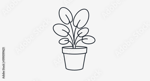 Line art illustration of a Chinese money plant in a pot with round leaves minimalist style outline drawing of potted houseplant