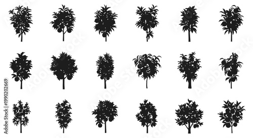 Collection of various tree silhouettes on white background black foliage illustrations