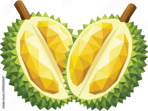 durian fruit vector