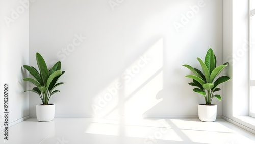 Minimal Interior Space with Window and Blank Wall