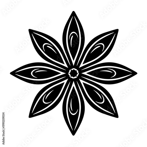 star anise vector illustration