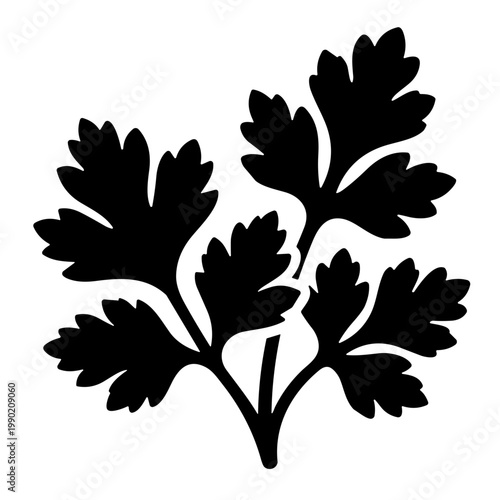 silhouette of a parsley